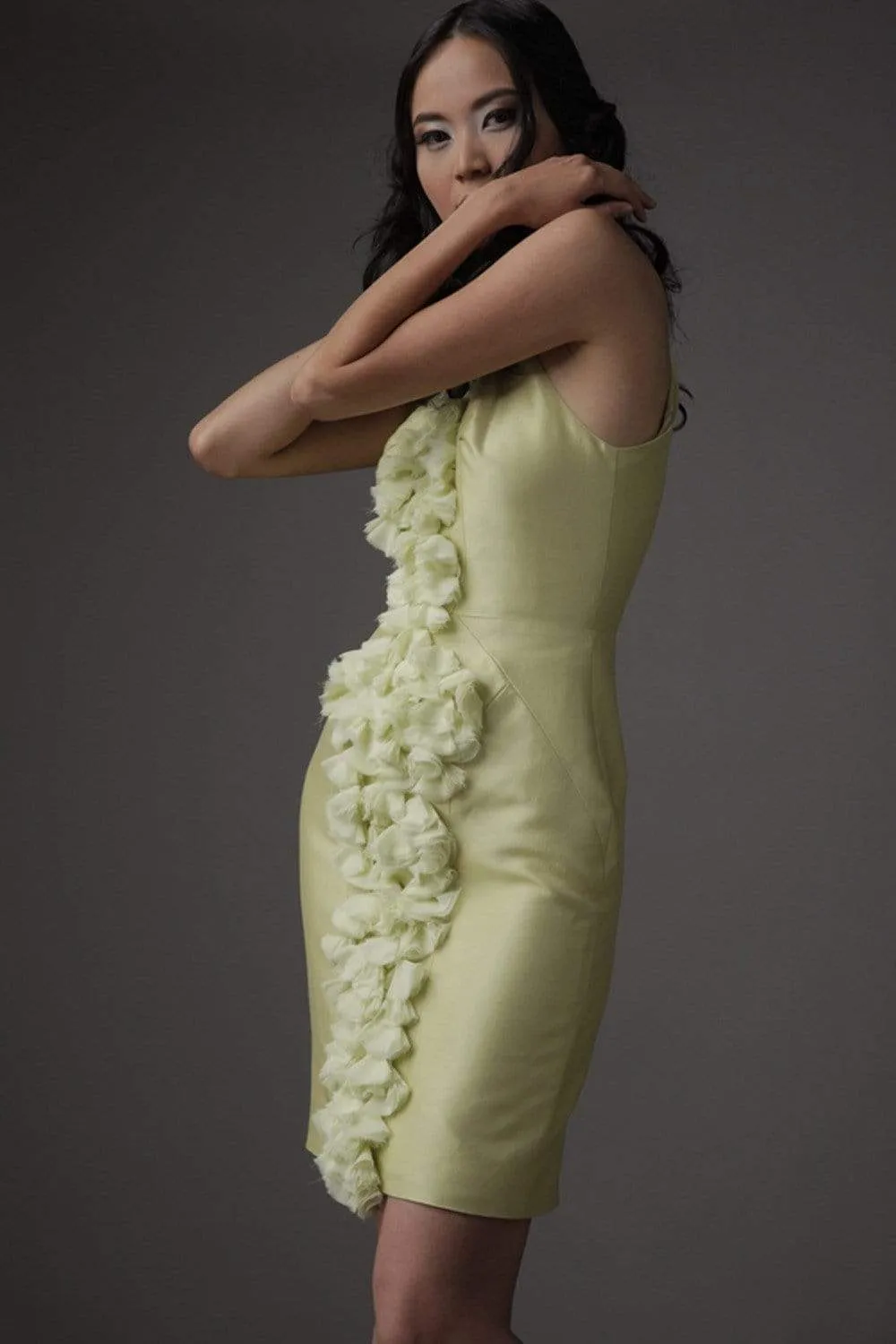 Krista Dress